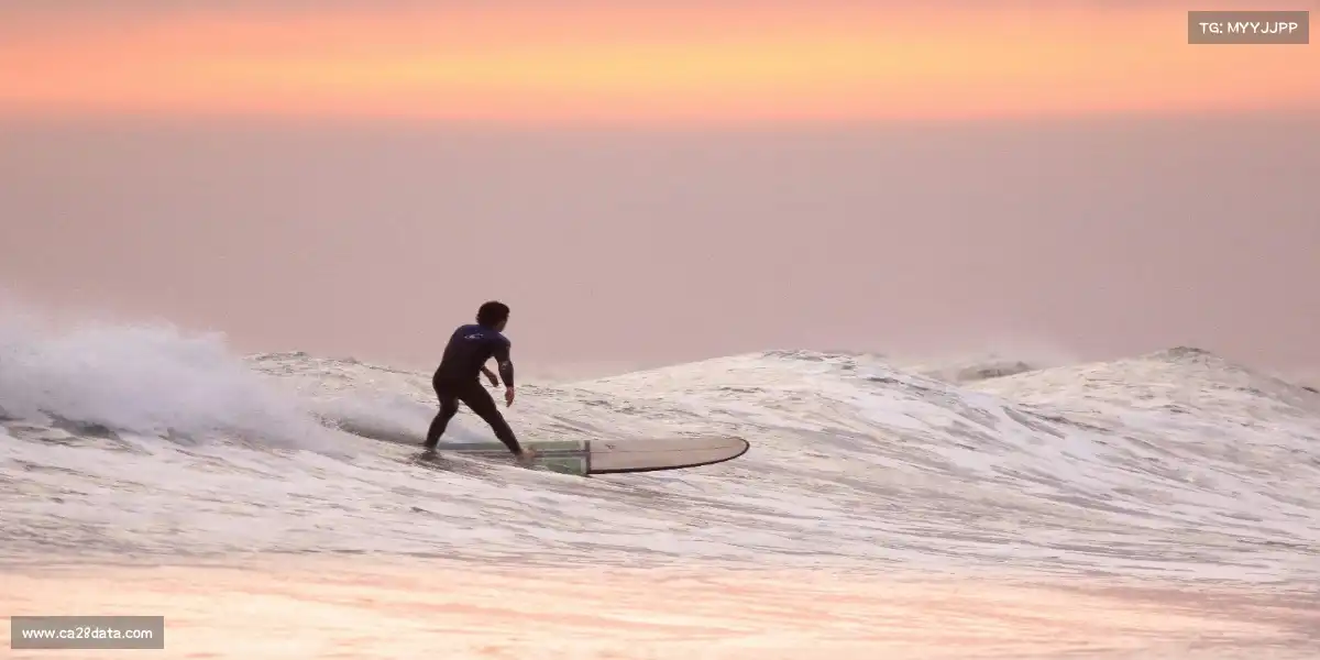 加拿大28官网——🏃‍♂️🚀 疾风冲刺，势如破竹！